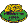 Turperntine Creek